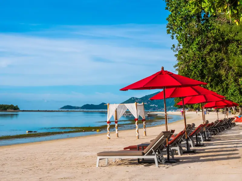 Self Drive Car Rentals In Calangute Goa